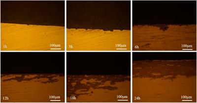 Corrosion Initiation Behavior of Thermal Control Oxidation Film of LA103Z Alloy